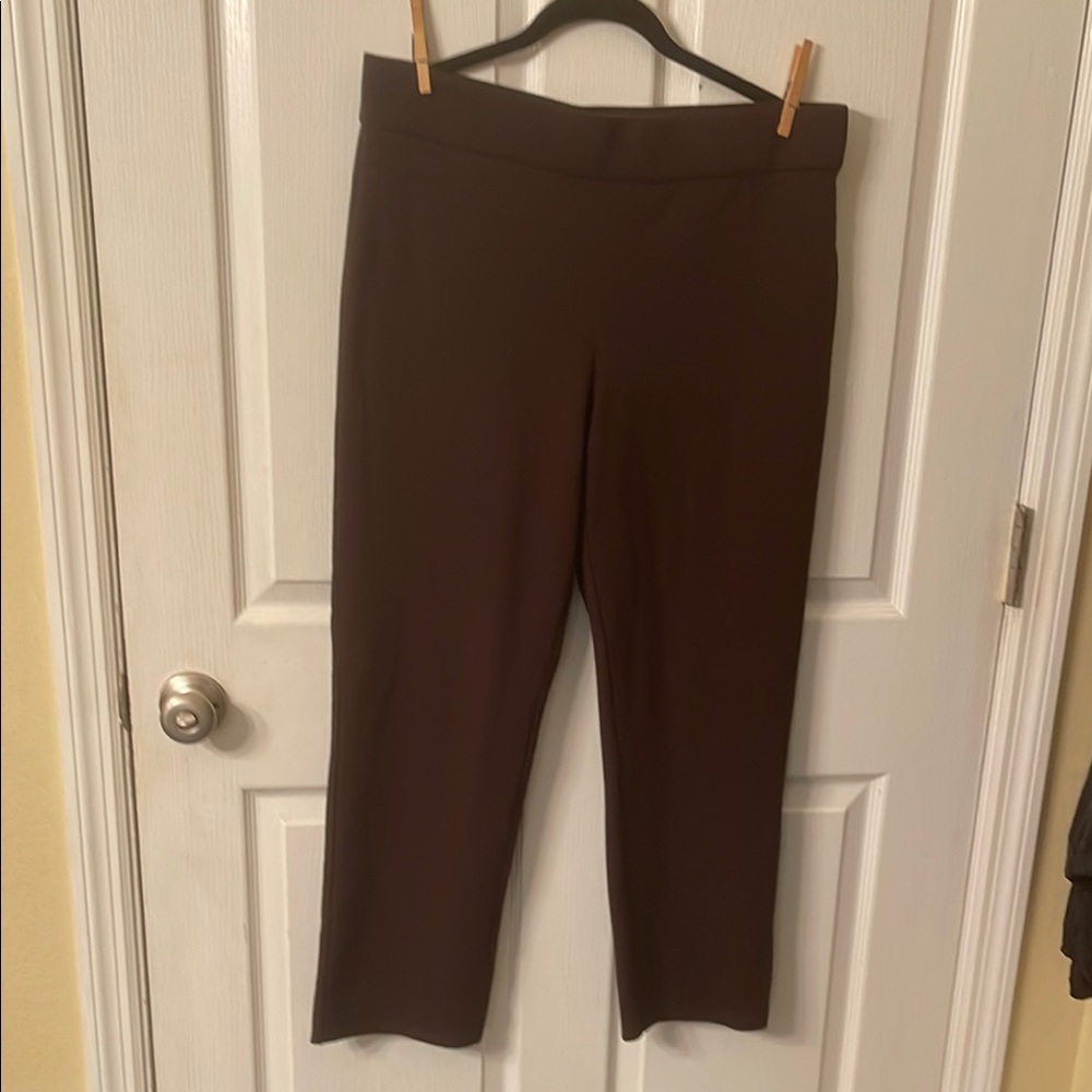 Elegant Brown Women's Pants
